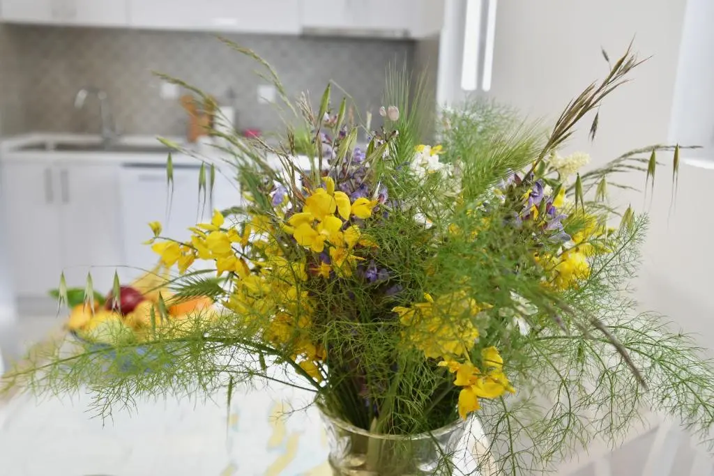 img_id_2322214.webp
