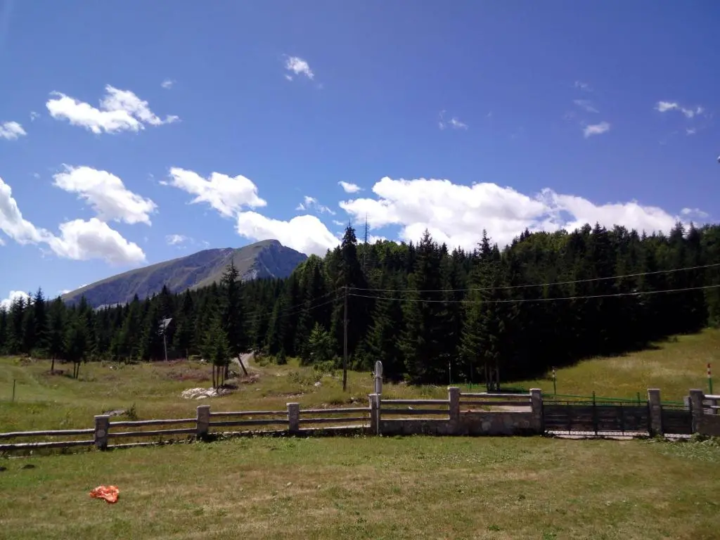 img_id_2322148.webp