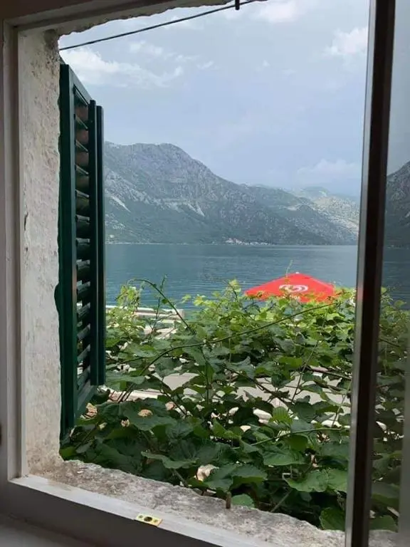 img_id_2321993.webp