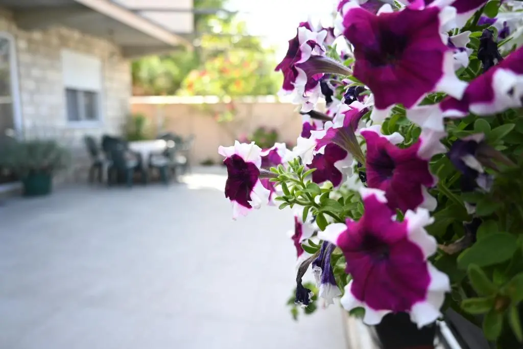 img_id_2320368.webp