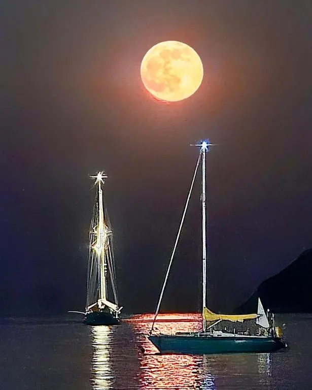 img_id_1036154.webp