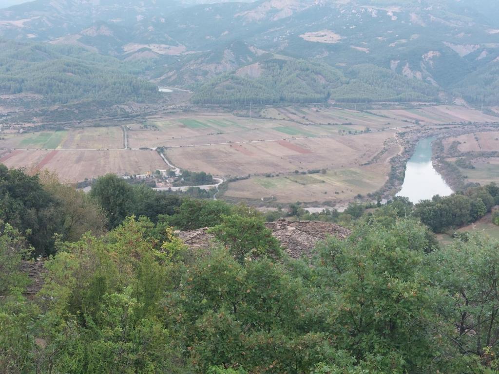 img_id_941281.jpg