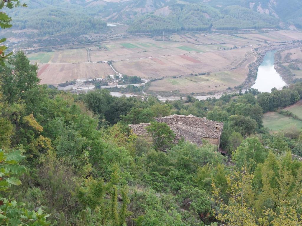 img_id_941282.jpg