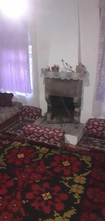 img_id_941285.jpg