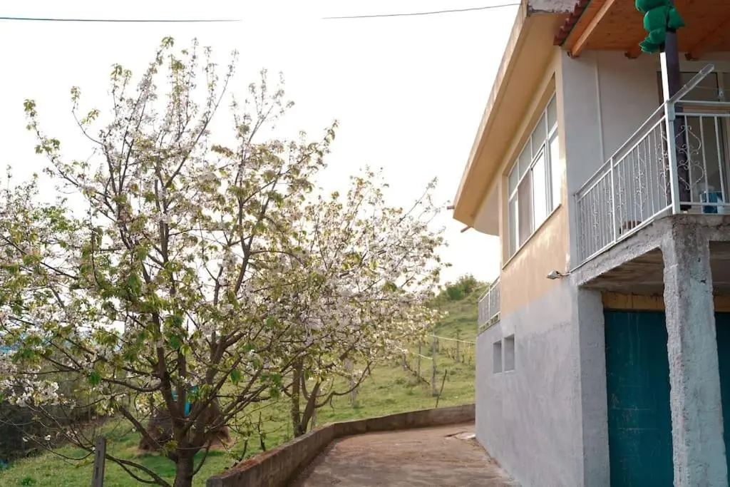 img_id_1035229.webp