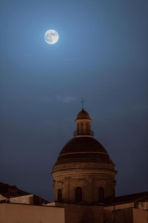 img_id_1034651.jpg