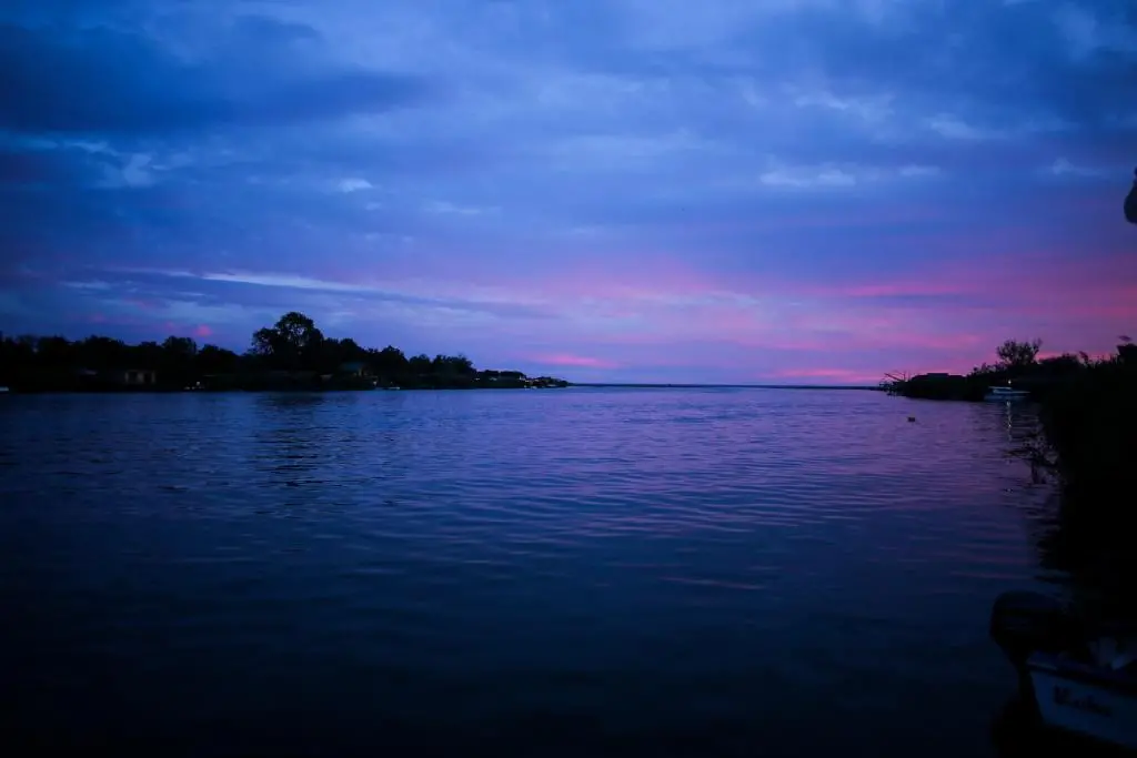 img_id_2319261.webp
