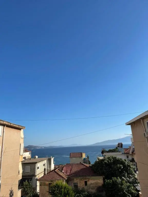 img_id_1031626.webp