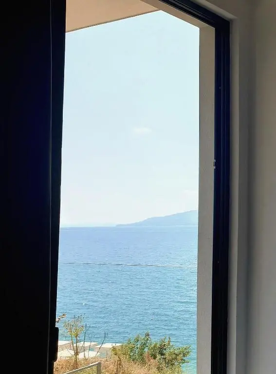 img_id_1007310.webp