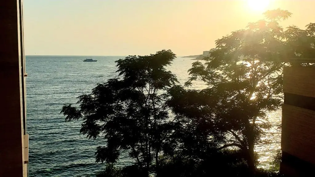 img_id_1007326.webp
