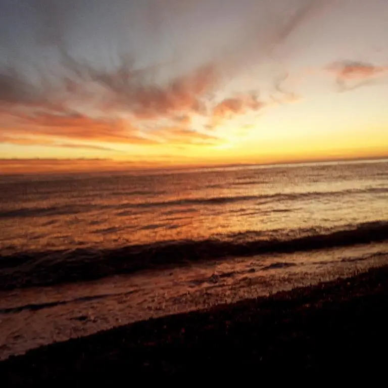 img_id_1099220.webp