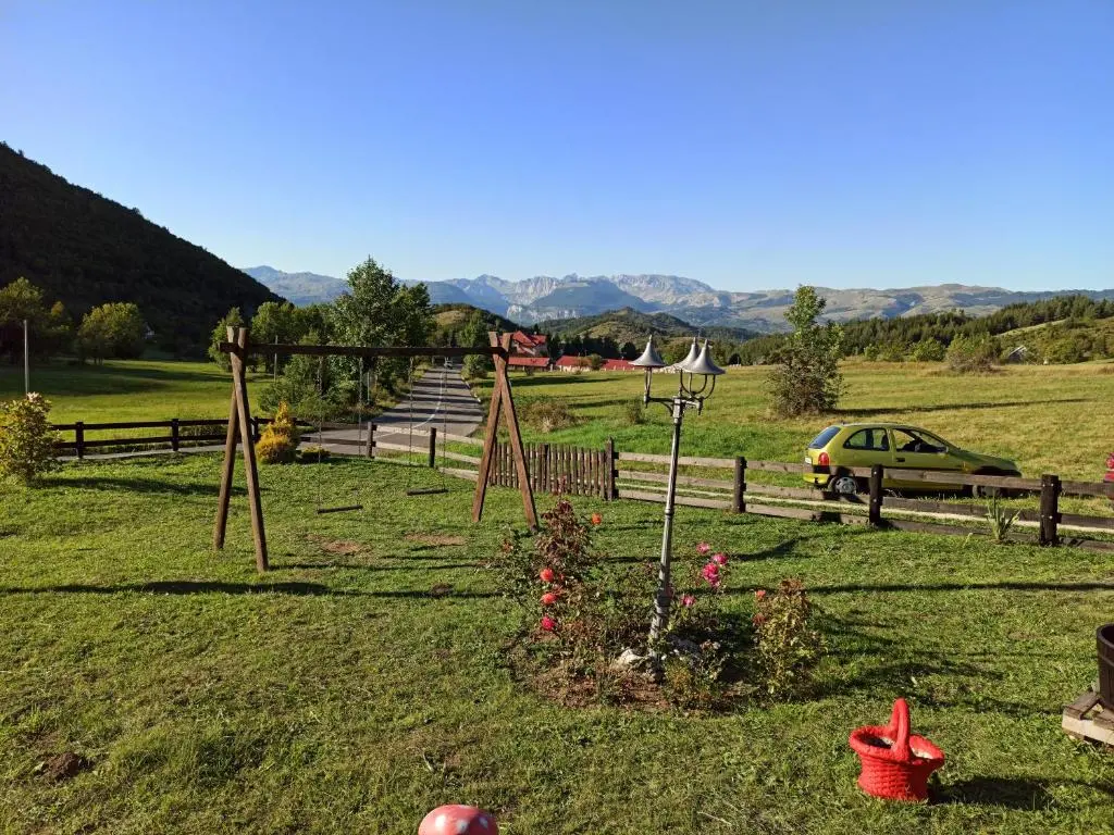 img_id_2315176.webp