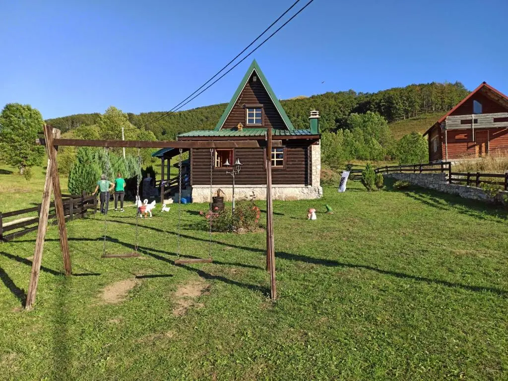 img_id_2315181.webp