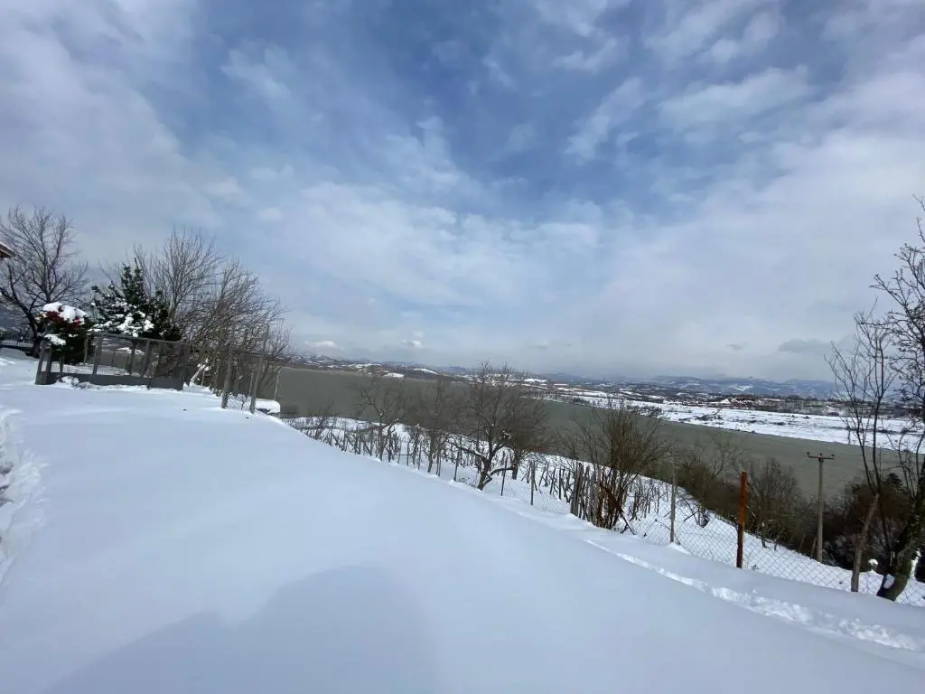 img_id_883147.webp