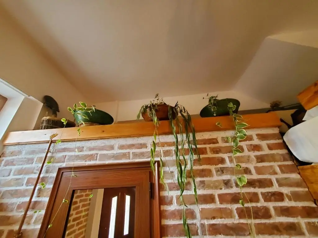 img_id_1665354.webp