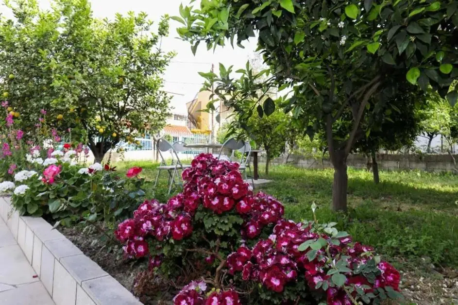 img_id_1380456.webp