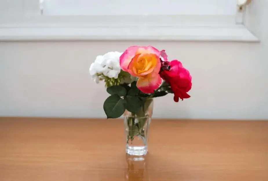 img_id_1380465.webp
