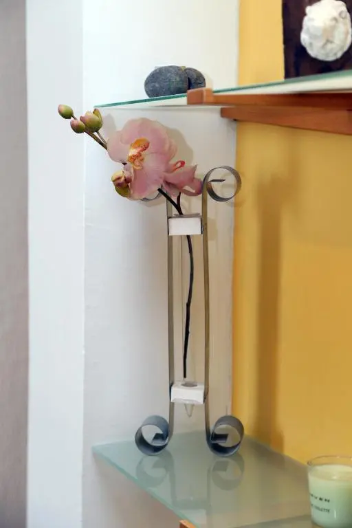 img_id_2312256.webp