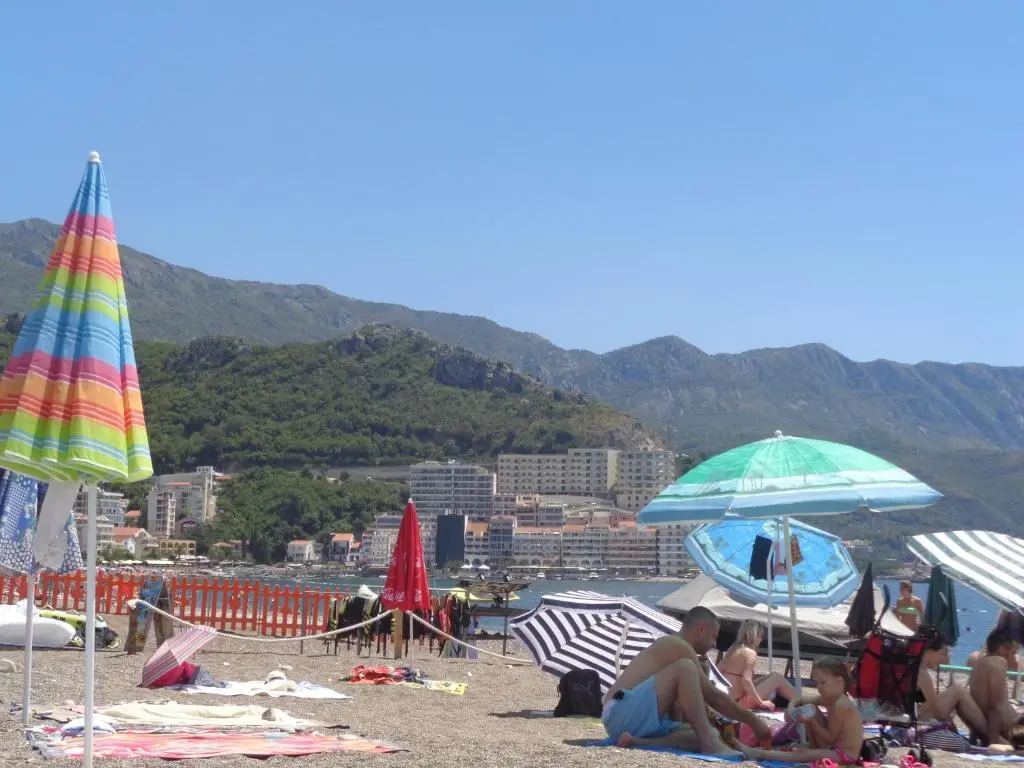 img_id_2311762.webp