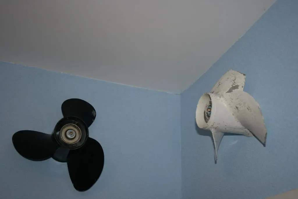 img_id_2311443.webp