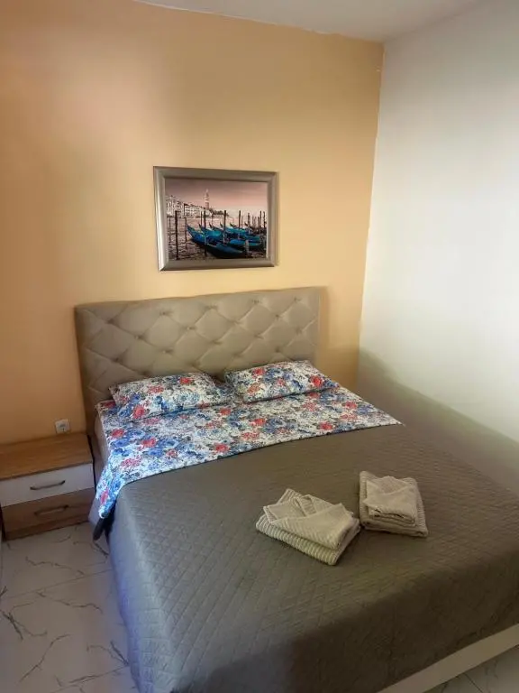 img_id_2310844.webp
