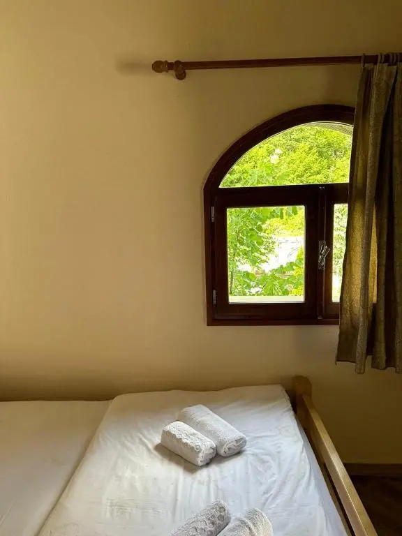 img_id_927669.webp