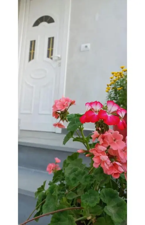 img_id_941098.webp