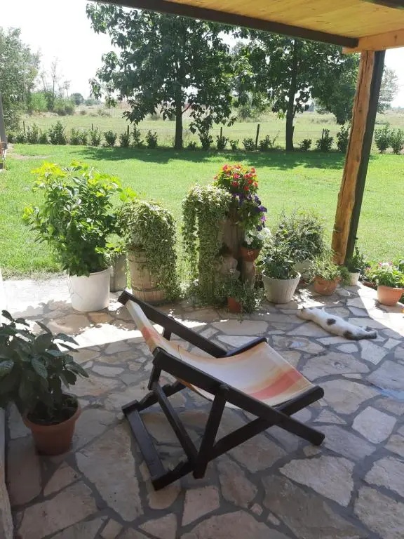 img_id_2310539.webp