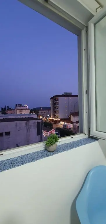 img_id_2309811.webp