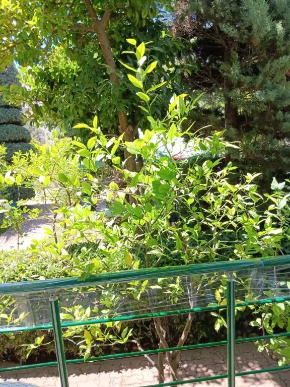 img_id_1689390.webp