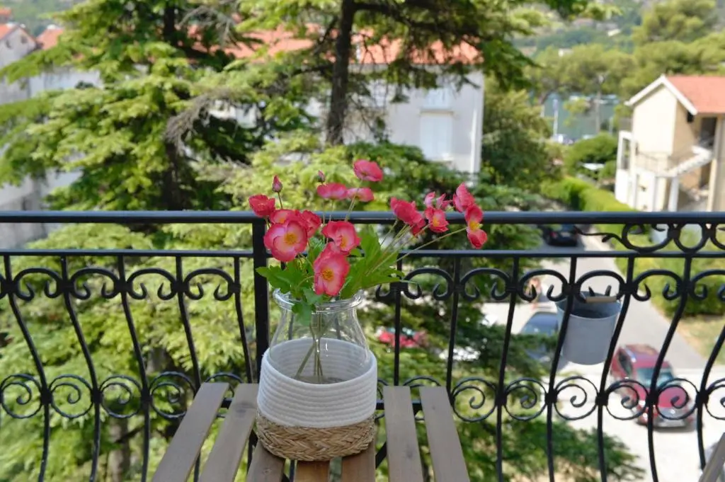 img_id_2309304.webp