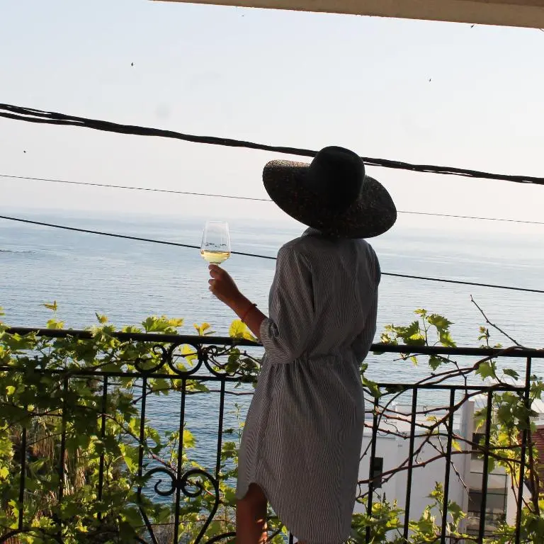 img_id_2309224.webp