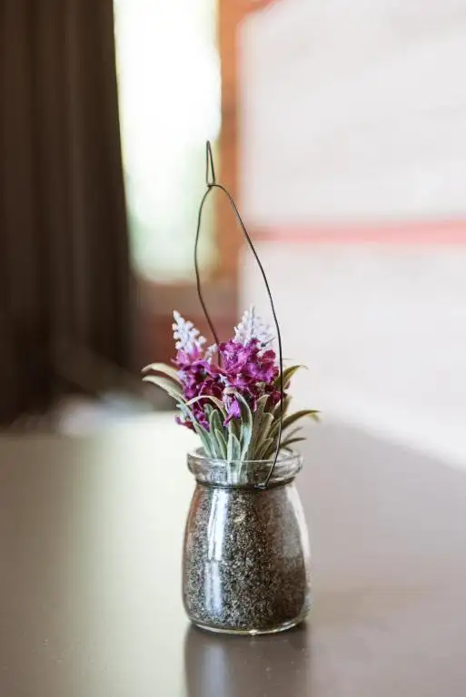 img_id_530643.webp