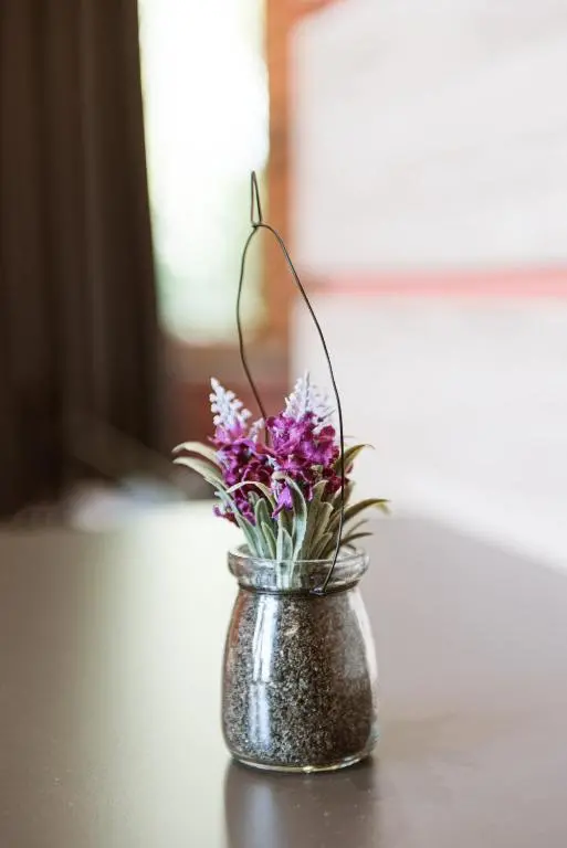 img_id_907296.webp