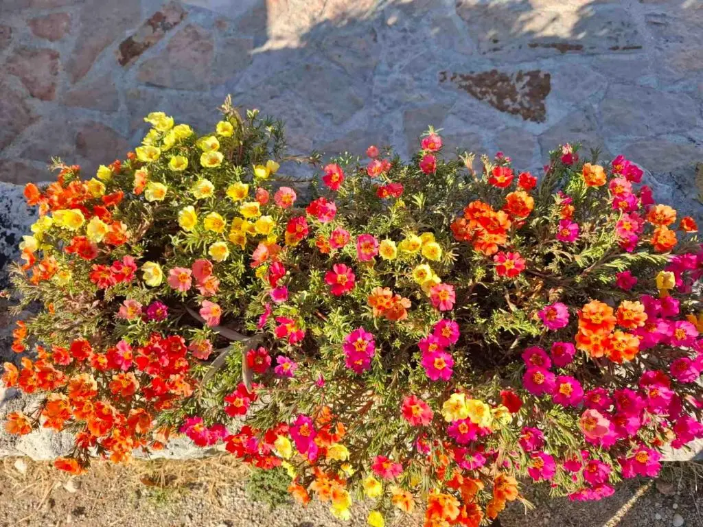 img_id_2308222.webp