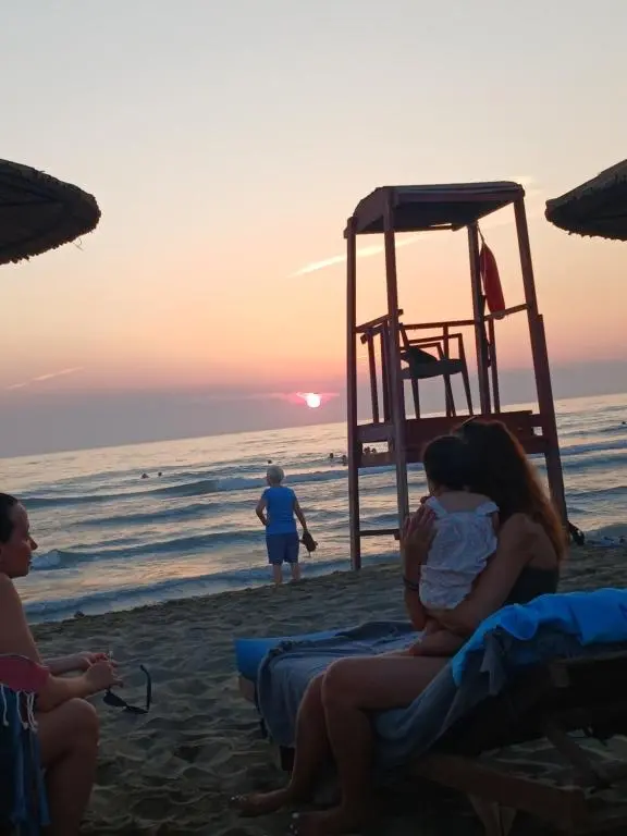 img_id_1002519.webp