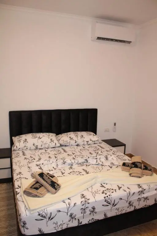 img_id_1042594.webp