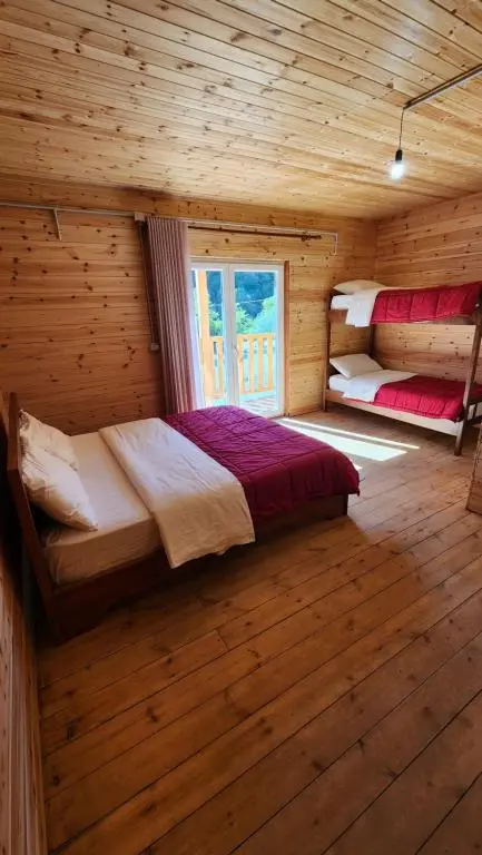 img_id_950475.webp