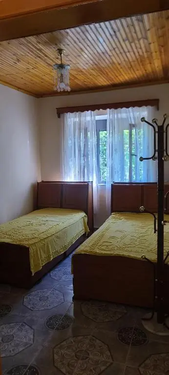img_id_1681620.webp