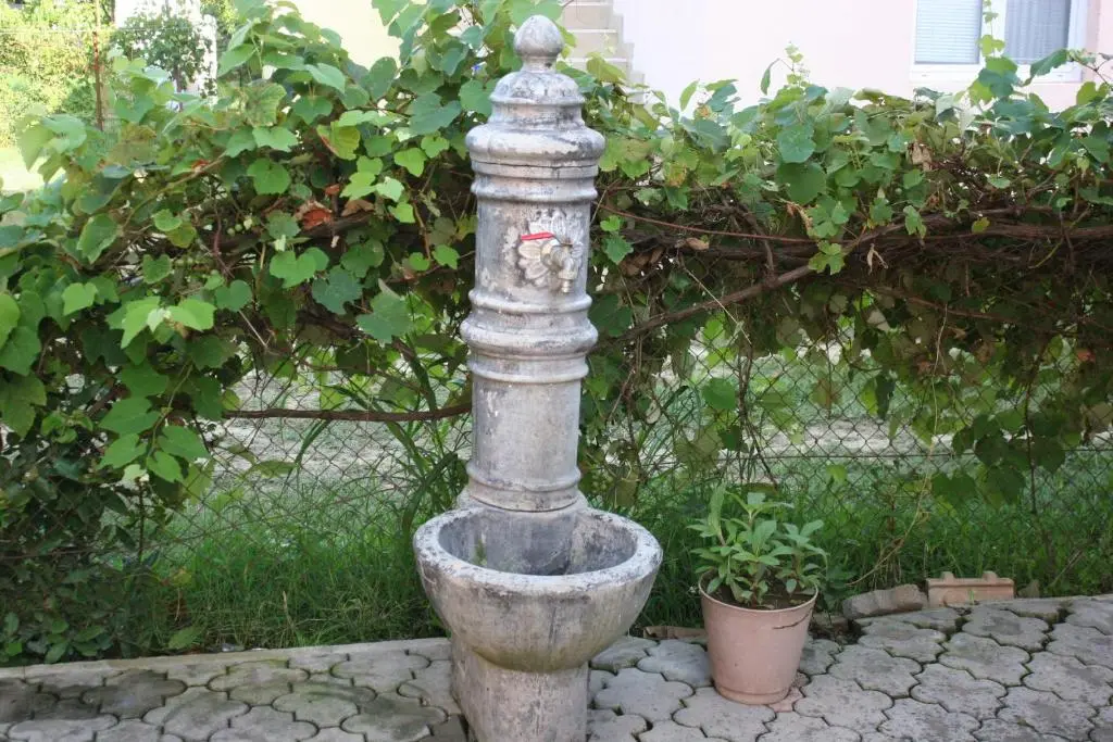 img_id_2306672.webp