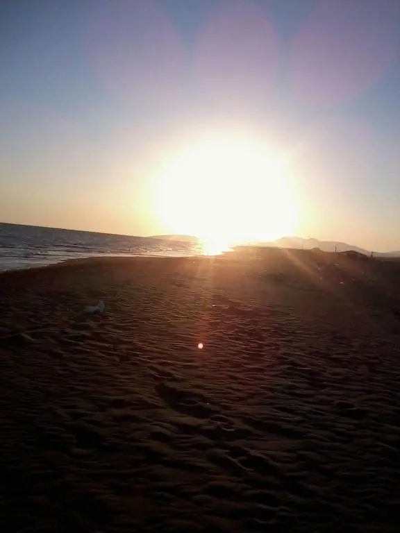 img_id_2306687.webp