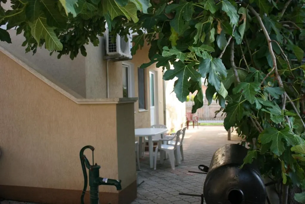 img_id_2306688.webp