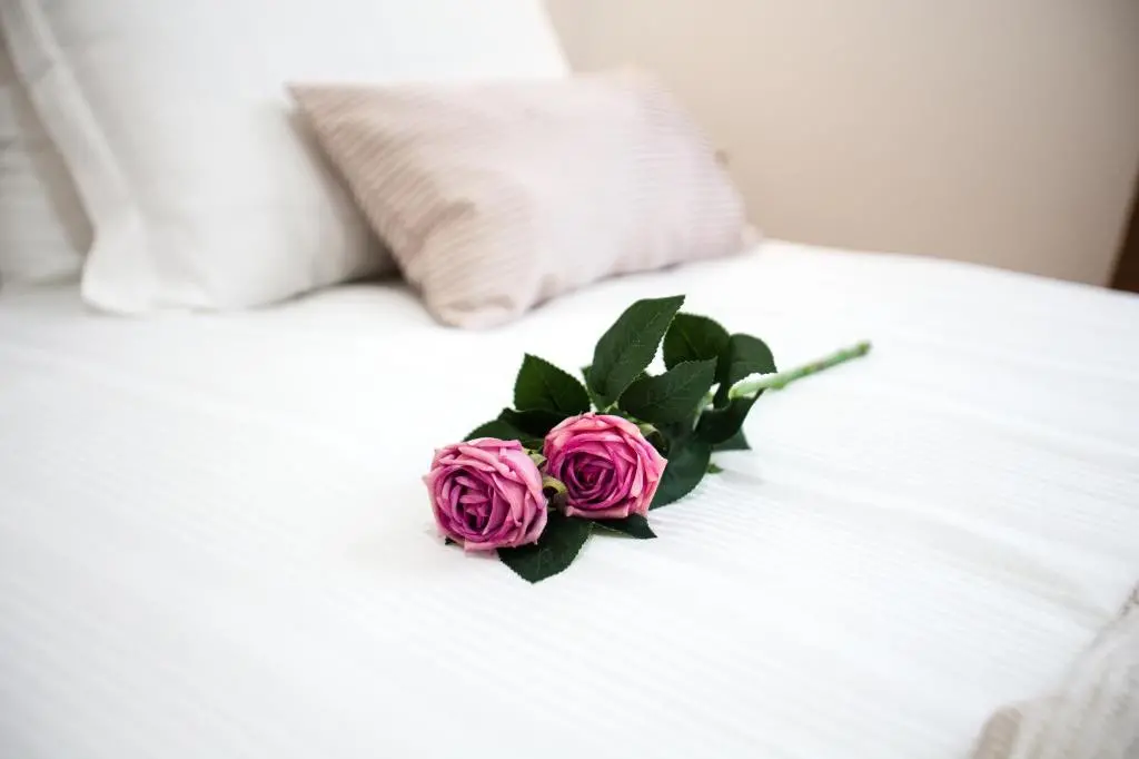 img_id_2306353.webp