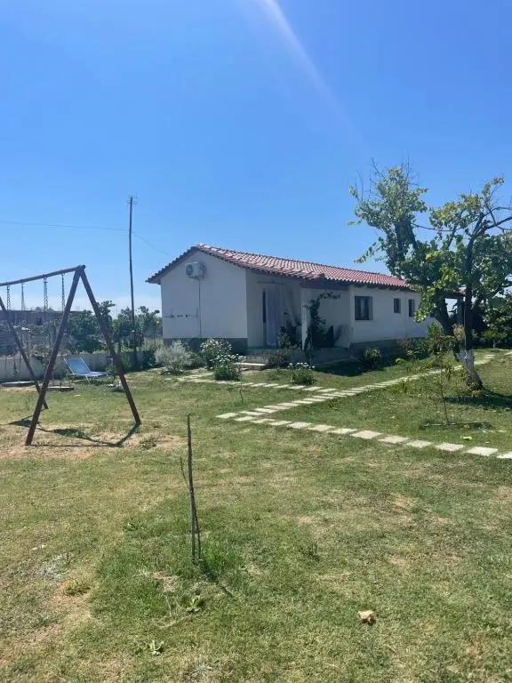 img_id_863828.webp