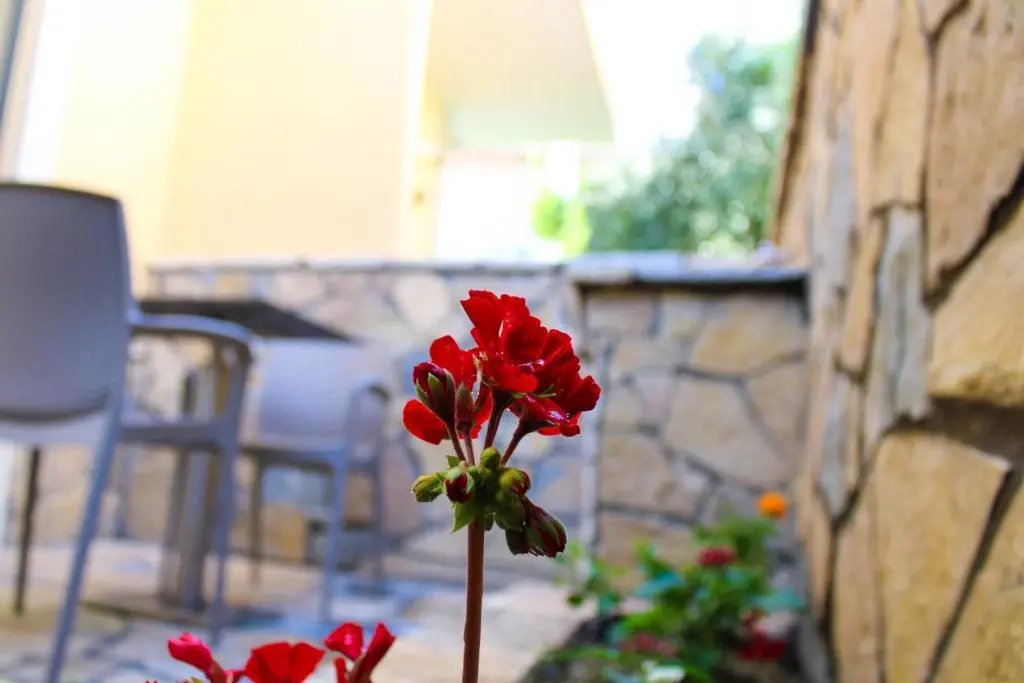 img_id_904516.webp