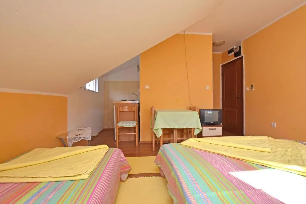 img_id_2305040.webp