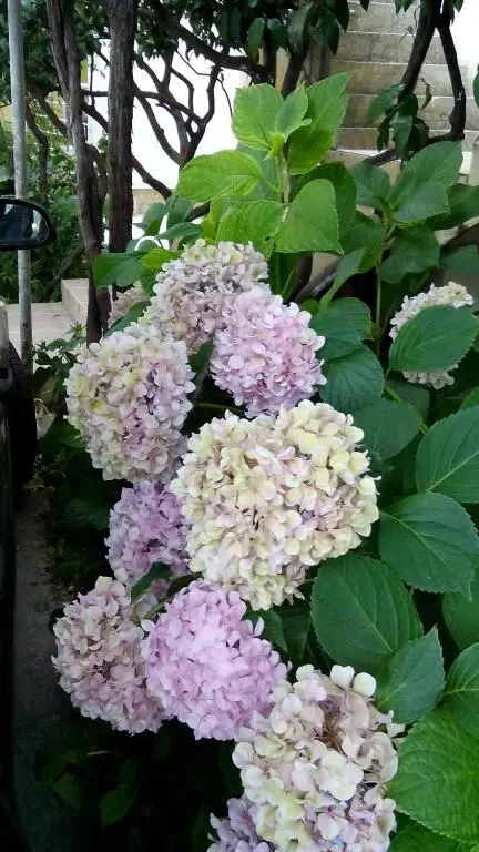 img_id_2303467.webp