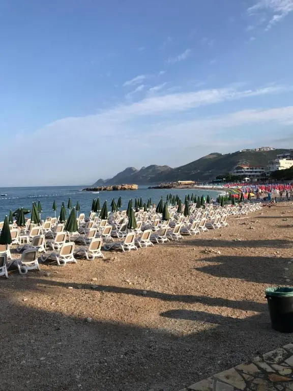 img_id_2302948.webp