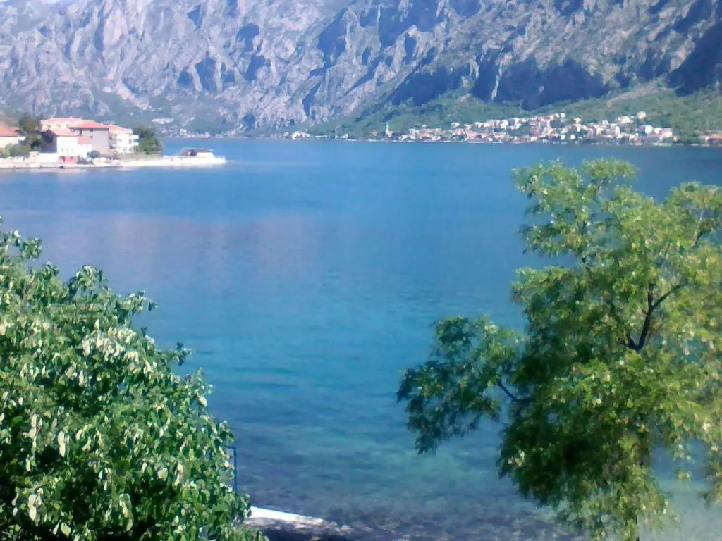 img_id_2302544.webp