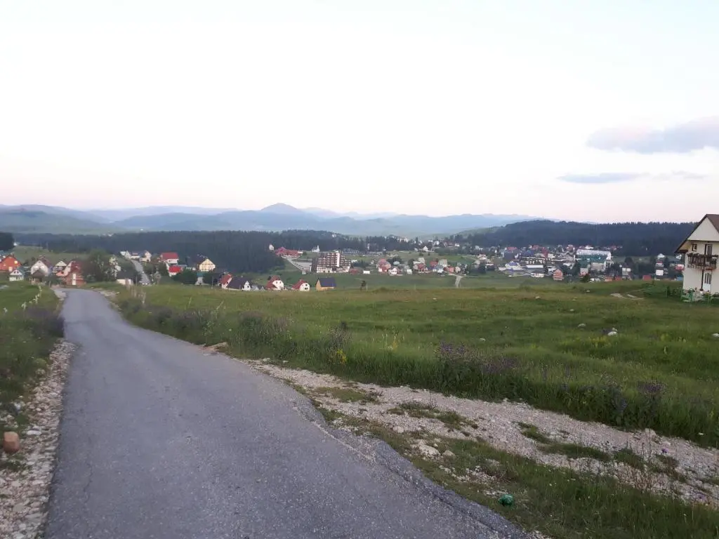 img_id_2302331.webp